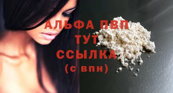 твердый Гусев