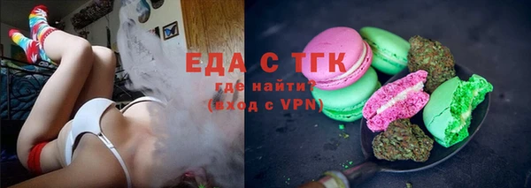 твердый Гусев