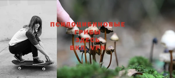 твердый Гусев