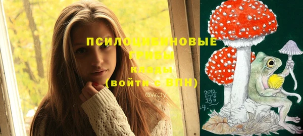 соль курить ск Гусь-Хрустальный
