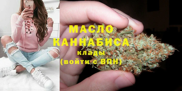 твердый Гусев