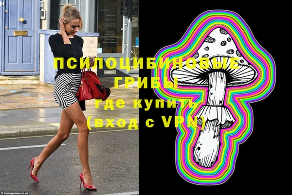дживик Гусиноозёрск