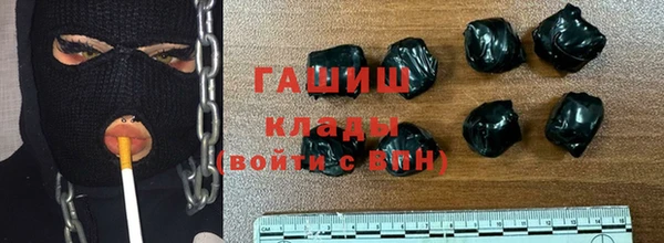 твердый Гусев