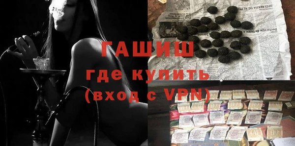 твердый Гусев