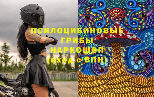твердый Гусев