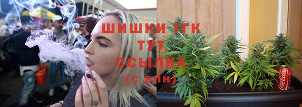твердый Гусев